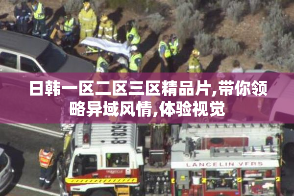 日韩一区二区三区精品片,带你领略异域风情,体验视觉
