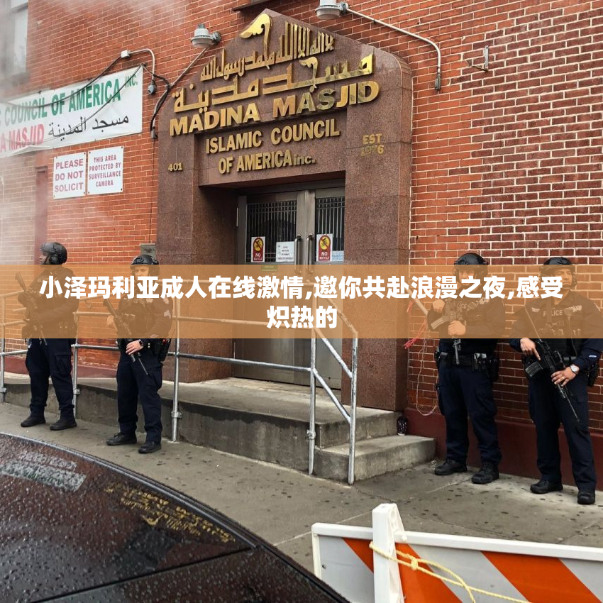 小泽玛利亚成人在线激情,邀你共赴浪漫之夜,感受炽热的