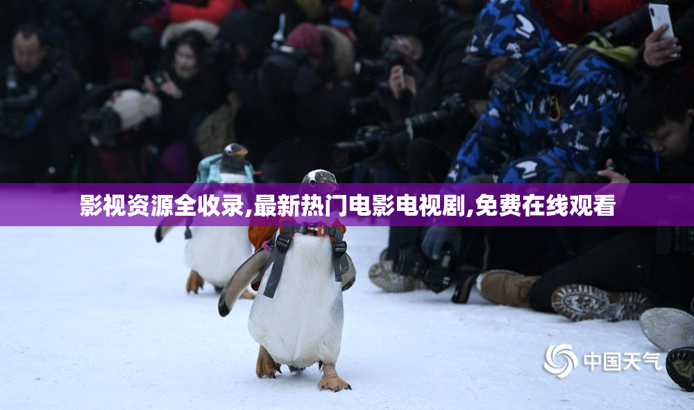 影视资源全收录,最新热门电影电视剧,免费在线观看