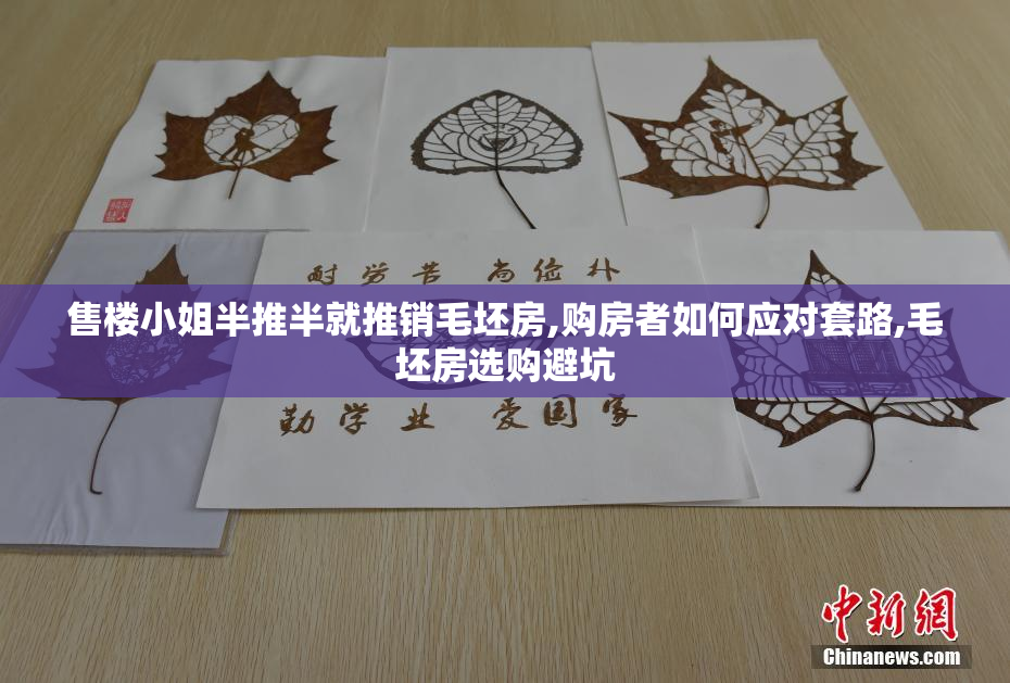 售楼小姐半推半就推销毛坯房,购房者如何应对套路,毛坯房选购避坑