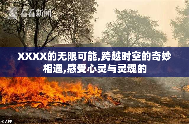 XXXX的无限可能,跨越时空的奇妙相遇,感受心灵与灵魂的