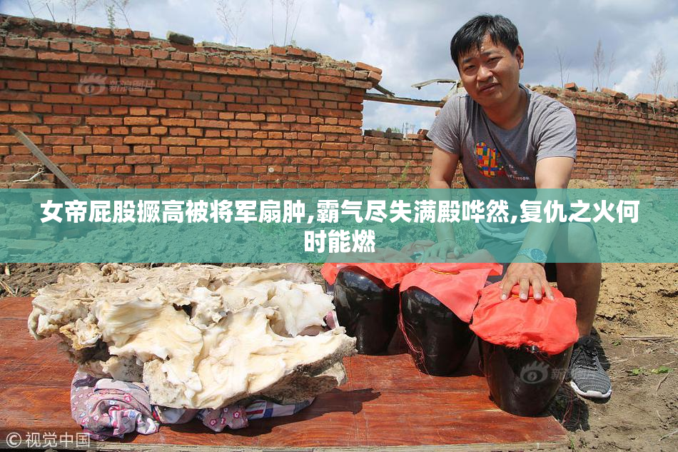 女帝屁股撅高被将军扇肿,霸气尽失满殿哗然,复仇之火何时能燃