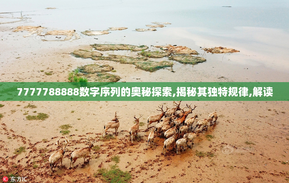 7777788888数字序列的奥秘探索,揭秘其独特规律,解读