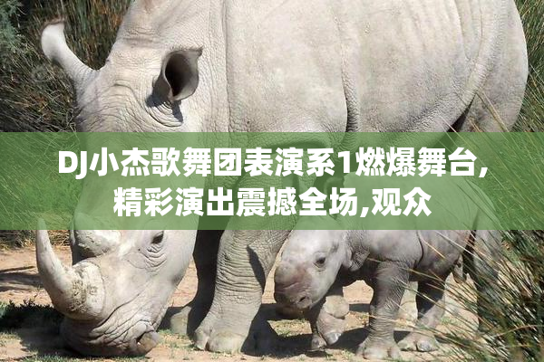 DJ小杰歌舞团表演系1燃爆舞台,精彩演出震撼全场,观众