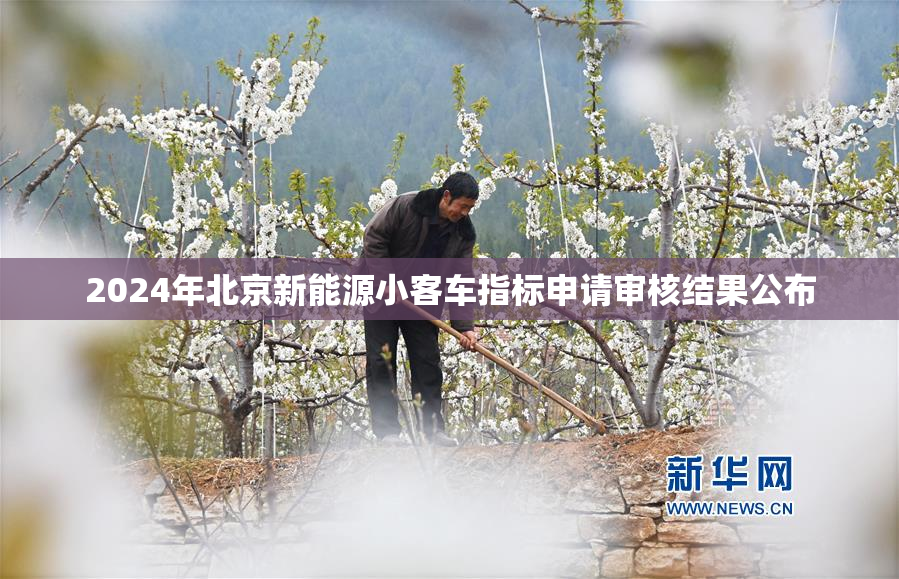 2024年北京新能源小客车指标申请审核结果公布
