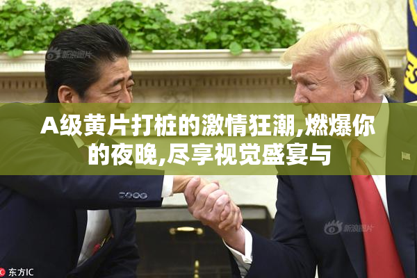 A级黄片打桩的激情狂潮,燃爆你的夜晚,尽享视觉盛宴与