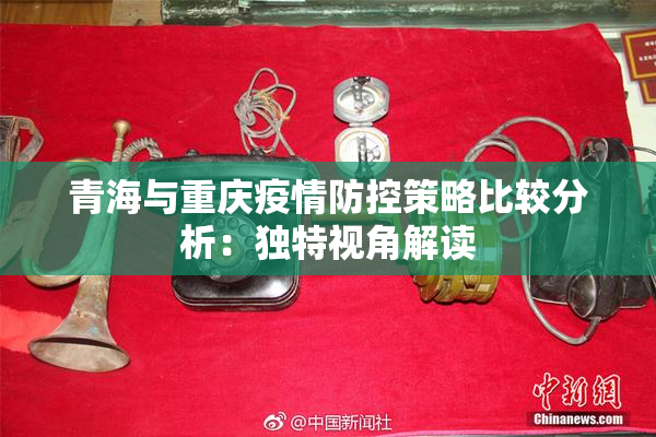 青海与重庆疫情防控策略比较分析：独特视角解读