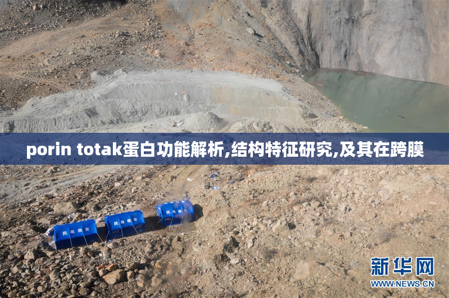 porin totak蛋白功能解析,结构特征研究,及其在跨膜