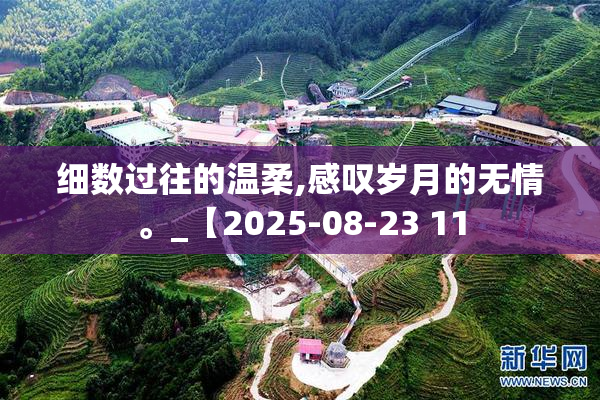 细数过往的温柔,感叹岁月的无情。_【2025-08-23 11