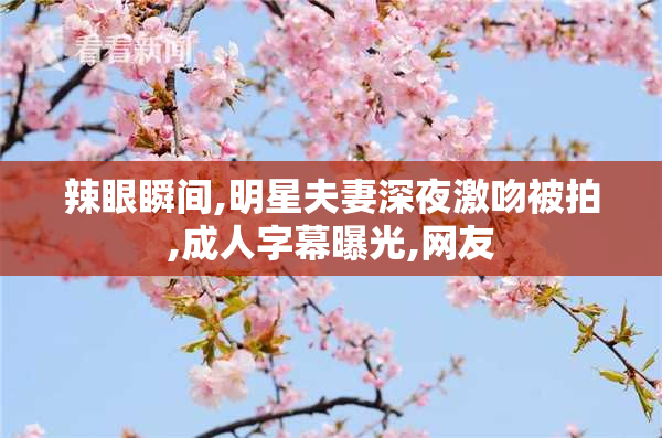 辣眼瞬间,明星夫妻深夜激吻被拍,成人字幕曝光,网友