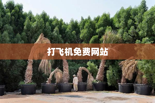 打飞机免费网站