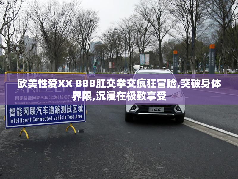 欧美性爱XX BBB肛交拳交疯狂冒险,突破身体界限,沉浸在极致享受