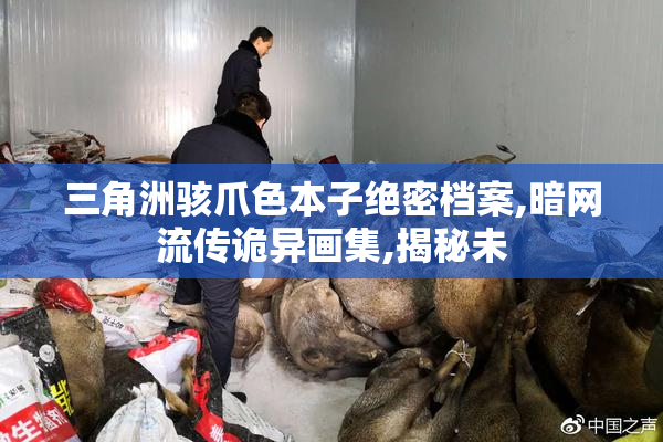 三角洲骇爪色本子绝密档案,暗网流传诡异画集,揭秘未