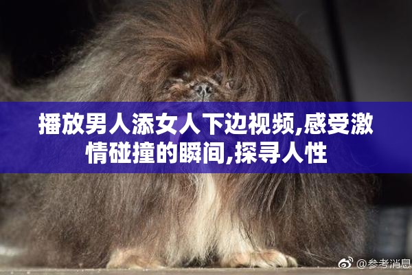 播放男人添女人下边视频,感受激情碰撞的瞬间,探寻人性