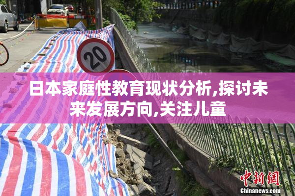 日本家庭性教育现状分析,探讨未来发展方向,关注儿童