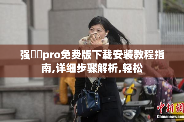 强癶乀pro免费版下载安装教程指南,详细步骤解析,轻松