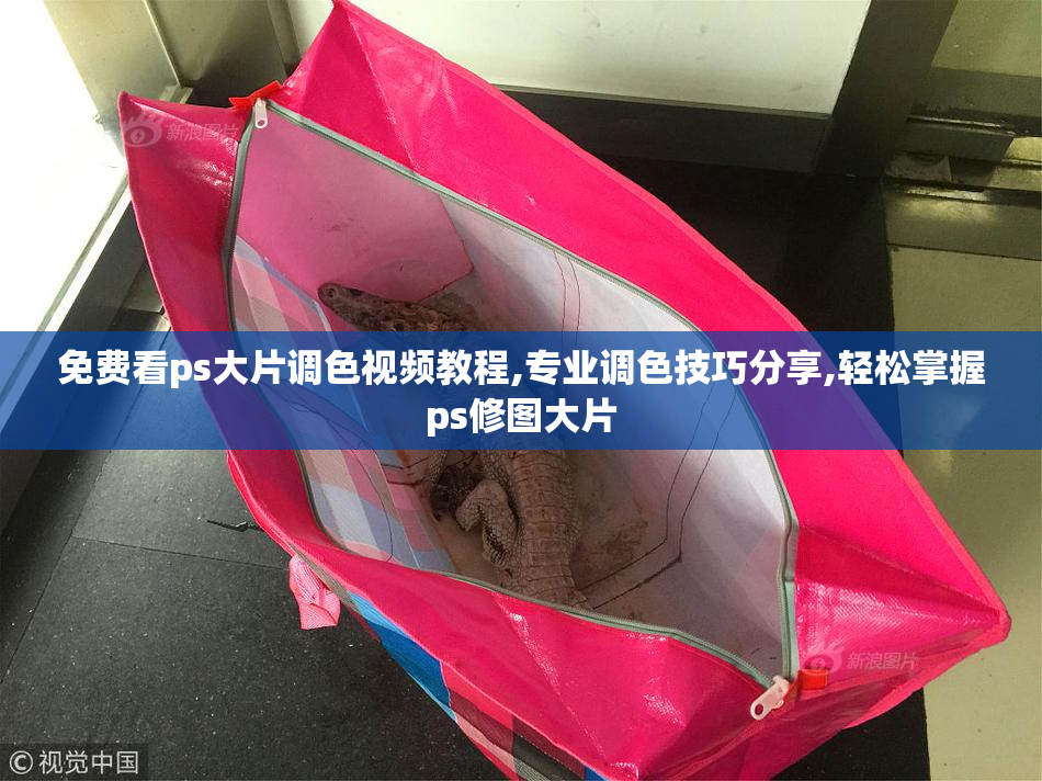 免费看ps大片调色视频教程,专业调色技巧分享,轻松掌握ps修图大片