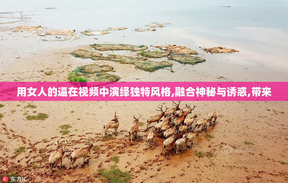 用女人的逼在视频中演绎独特风格,融合神秘与诱惑,带来