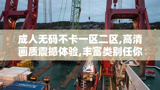 成人无码不卡一区二区,高清画质震撼体验,丰富类别任你挑选,深夜