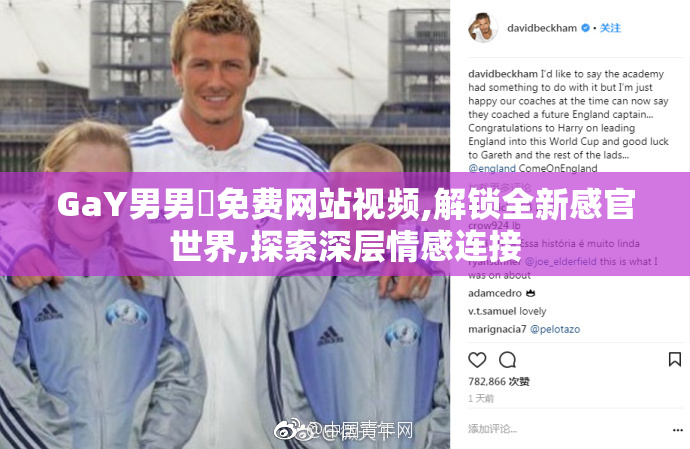 GaY男男✅免费网站视频,解锁全新感官世界,探索深层情感连接