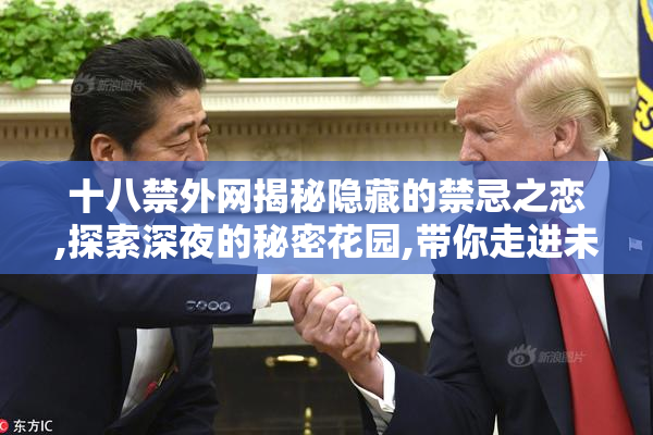 十八禁外网揭秘隐藏的禁忌之恋,探索深夜的秘密花园,带你走进未知