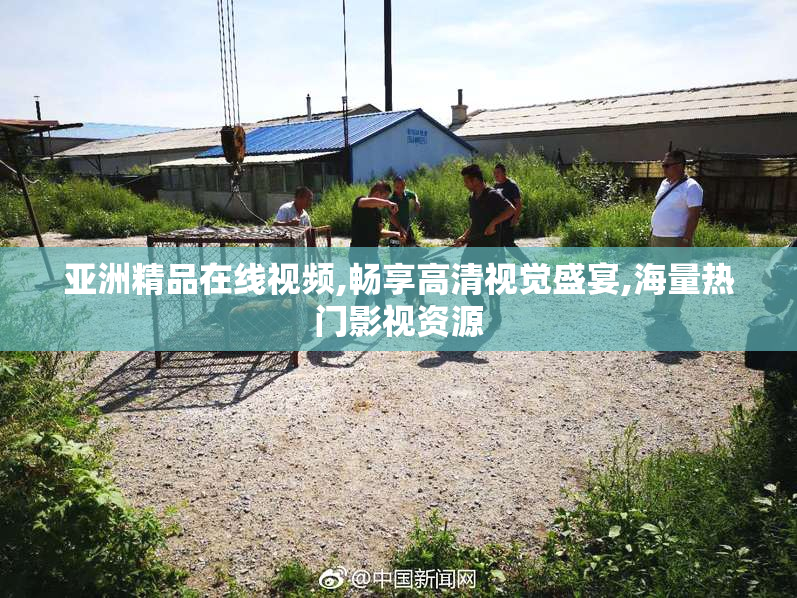 亚洲精品在线视频,畅享高清视觉盛宴,海量热门影视资源