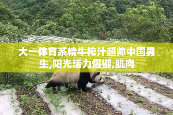 大一体育系精牛榨汁超帅中国男生,阳光活力爆棚,肌肉