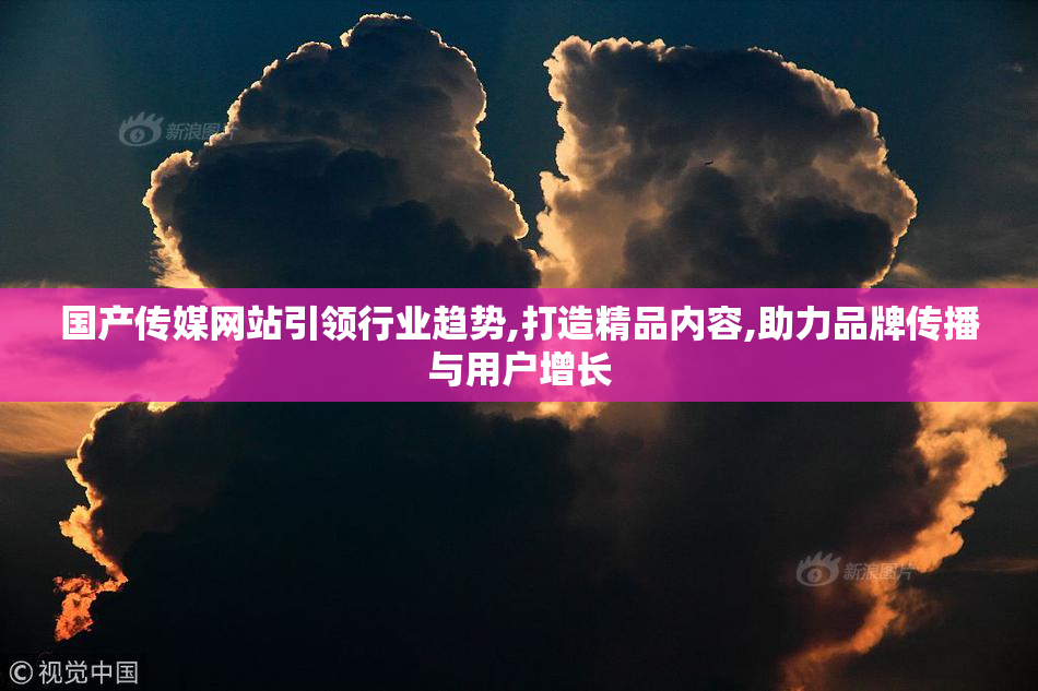 国产传媒网站引领行业趋势,打造精品内容,助力品牌传播与用户增长