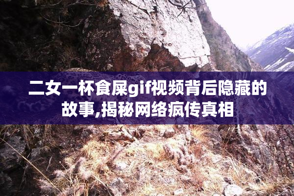 二女一杯食屎gif视频背后隐藏的故事,揭秘网络疯传真相