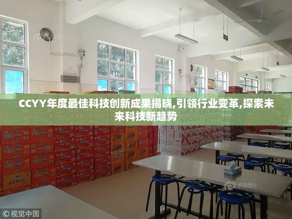 CCYY年度最佳科技创新成果揭晓,引领行业变革,探索未来科技新趋势