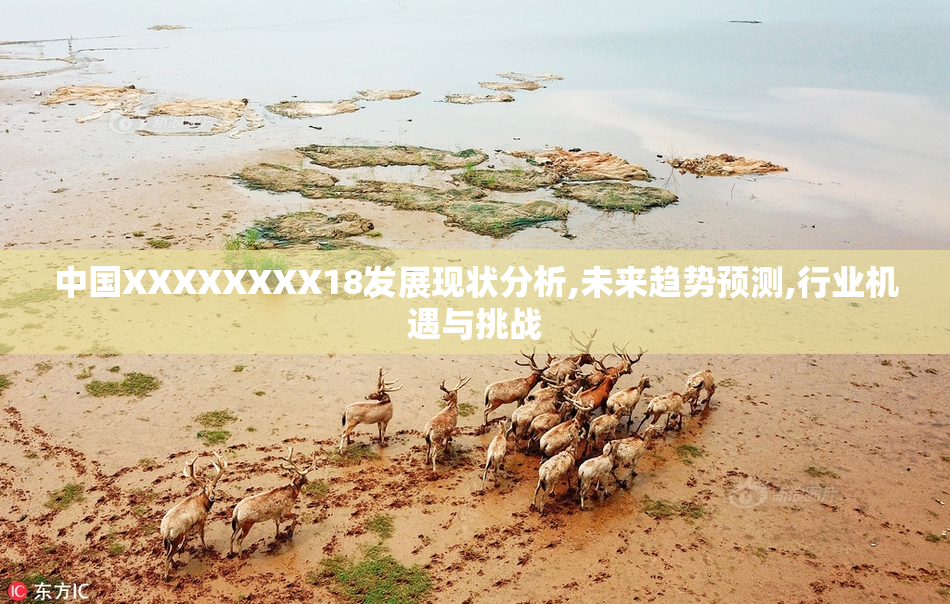 中国XXXXXXXX18发展现状分析,未来趋势预测,行业机遇与挑战