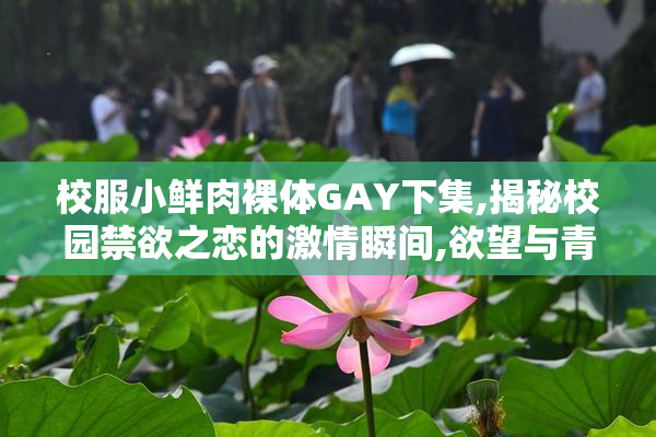 校服小鲜肉裸体GAY下集,揭秘校园禁欲之恋的激情瞬间,欲望与青春的