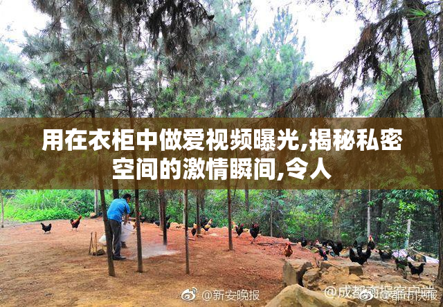 用在衣柜中做爱视频曝光,揭秘私密空间的激情瞬间,令人