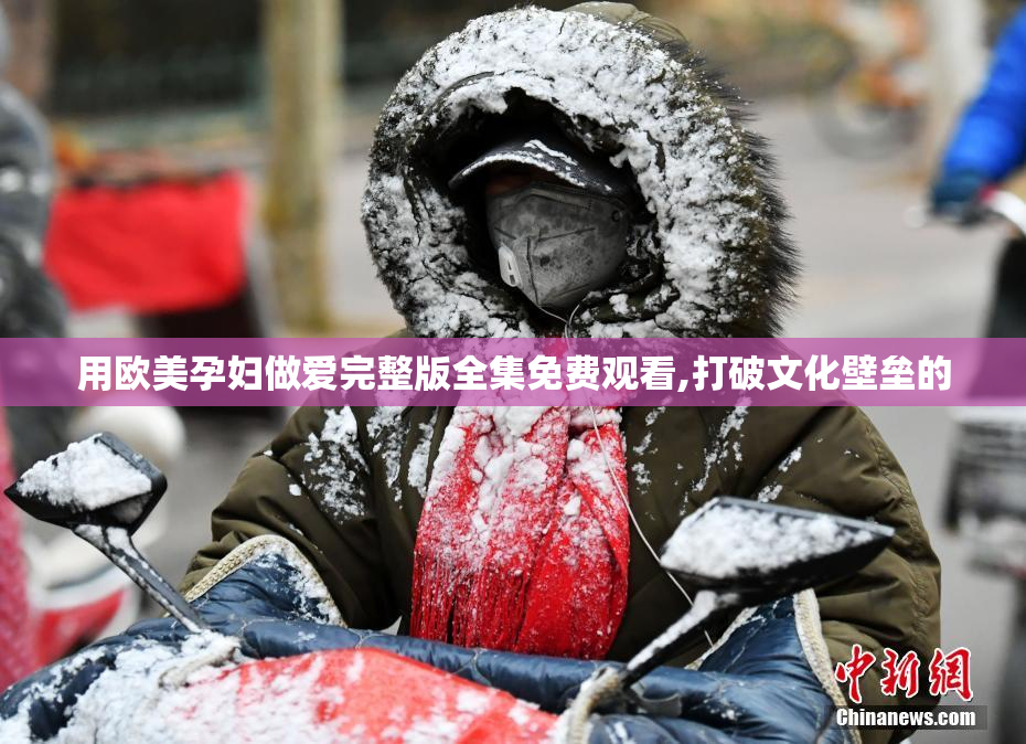 用欧美孕妇做爱完整版全集免费观看,打破文化壁垒的