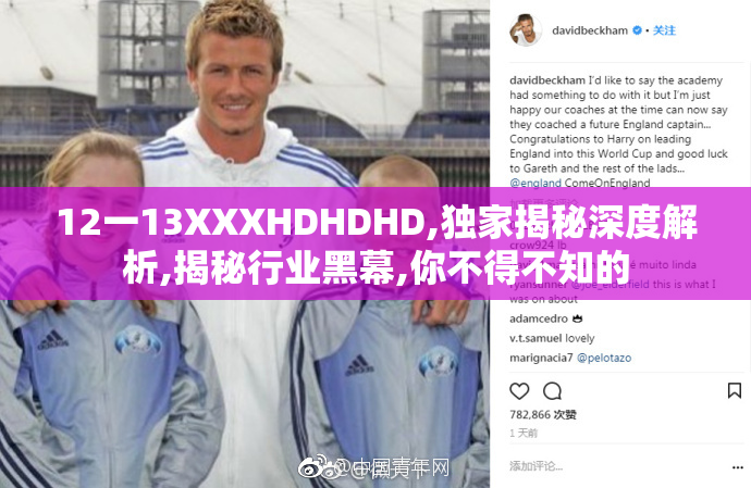 12一13XXXHDHDHD,独家揭秘深度解析,揭秘行业黑幕,你不得不知的
