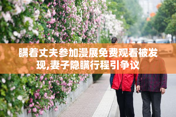 瞒着丈夫参加漫展免费观看被发现,妻子隐瞒行程引争议