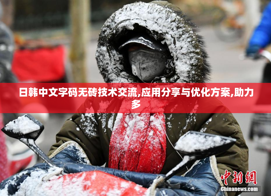 日韩中文字码无砖技术交流,应用分享与优化方案,助力多