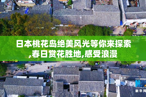 日本桃花岛绝美风光等你来探索,春日赏花胜地,感受浪漫