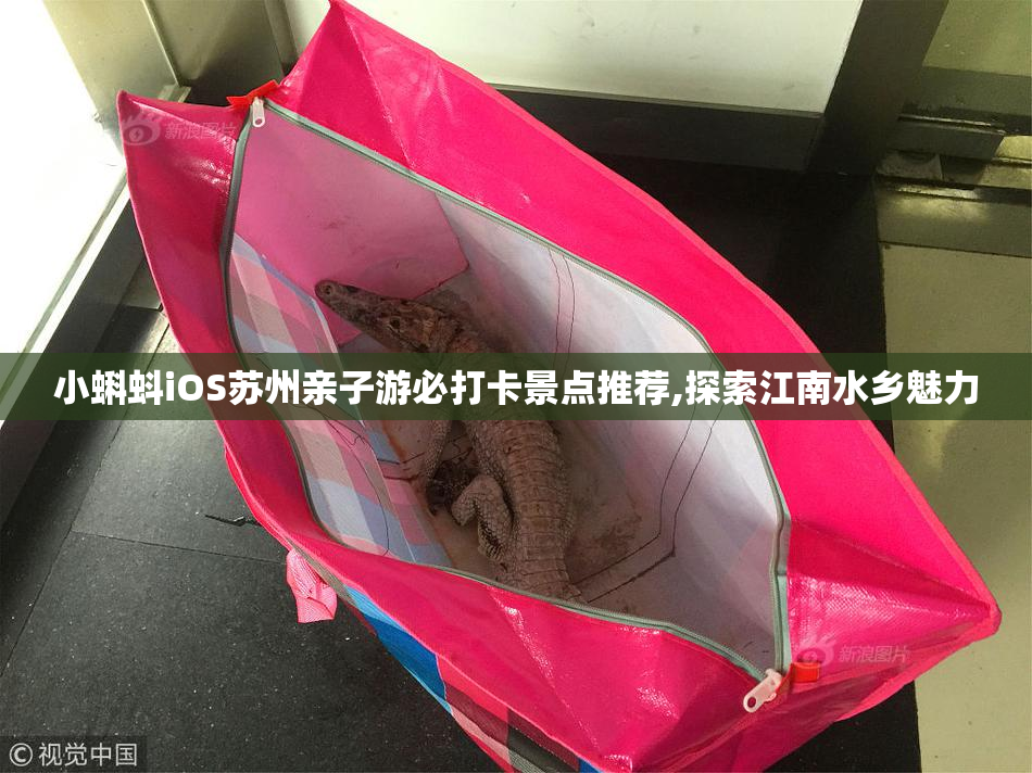 小蝌蚪iOS苏州亲子游必打卡景点推荐,探索江南水乡魅力