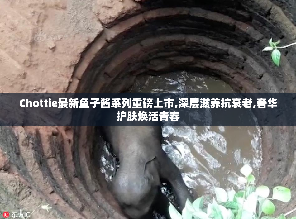 Chottie最新鱼子酱系列重磅上市,深层滋养抗衰老,奢华护肤焕活青春