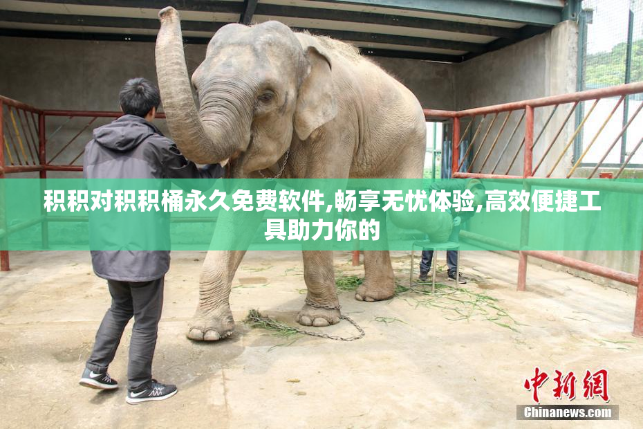 积积对积积桶永久免费软件,畅享无忧体验,高效便捷工具助力你的