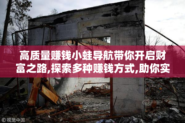 高质量赚钱小蛙导航带你开启财富之路,探索多种赚钱方式,助你实现