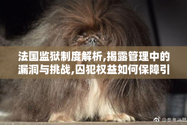 法国监狱制度解析,揭露管理中的漏洞与挑战,囚犯权益如何保障引人