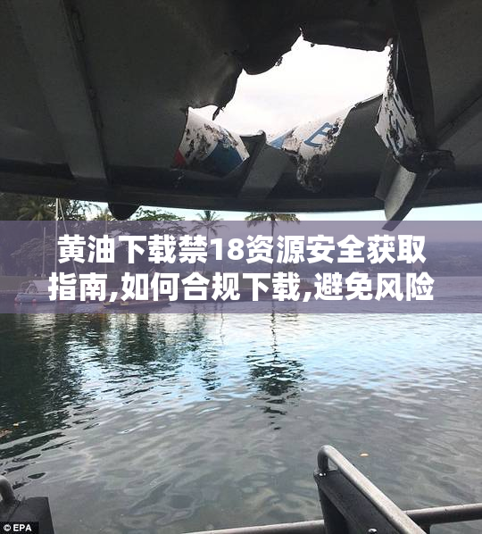 黄油下载禁18资源安全获取指南,如何合规下载,避免风险与封禁问题