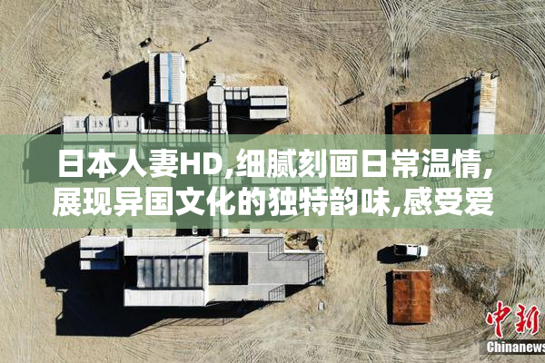 日本人妻HD,细腻刻画日常温情,展现异国文化的独特韵味,感受爱与