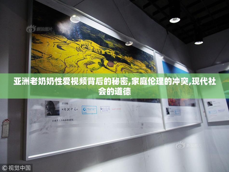 亚洲老奶奶性爱视频背后的秘密,家庭伦理的冲突,现代社会的道德