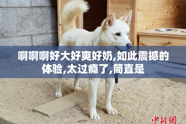 啊啊啊好大好爽好奶,如此震撼的体验,太过瘾了,简直是