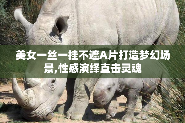美女一丝一挂不遮A片打造梦幻场景,性感演绎直击灵魂