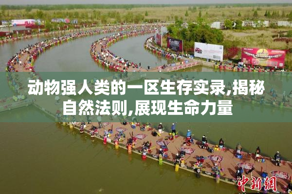 动物强人类的一区生存实录,揭秘自然法则,展现生命力量