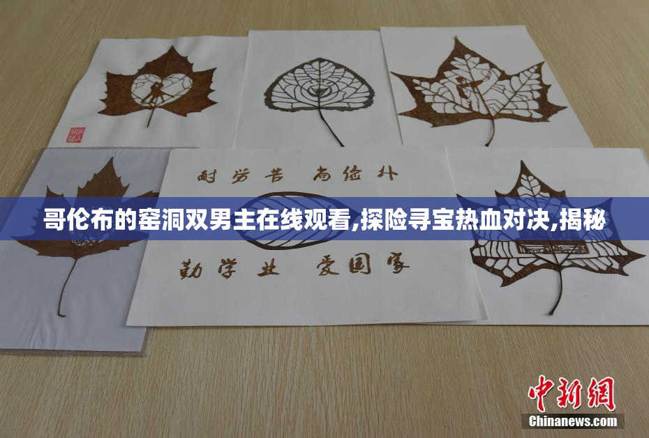 哥伦布的窑洞双男主在线观看,探险寻宝热血对决,揭秘